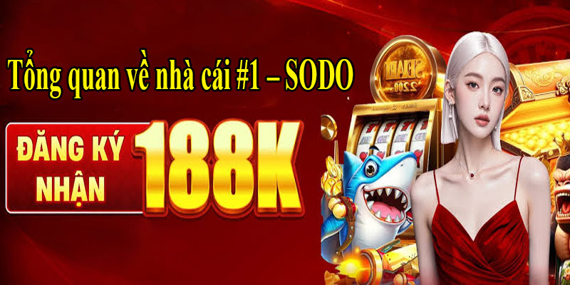 Tổng quan về nhà cái Top 1 – SODO66